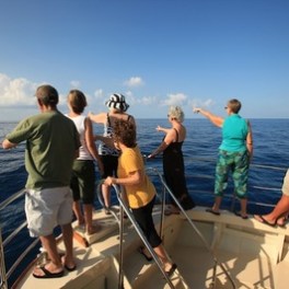 a group of people standing next to a body of water