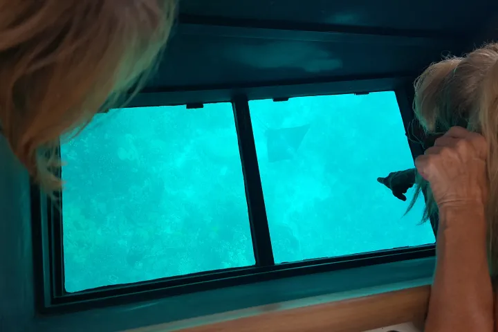 A hand points to an eagle ray viewed through the glass bottom