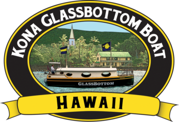 glassbottomLOGO