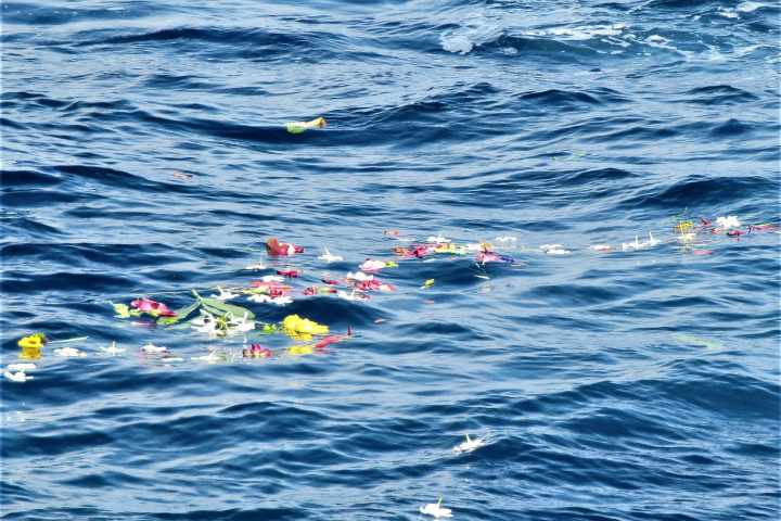 a group of people swimming in a body of water