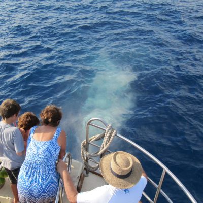 a person standing next to a body of water