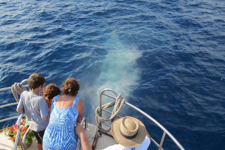 a person standing next to a body of water