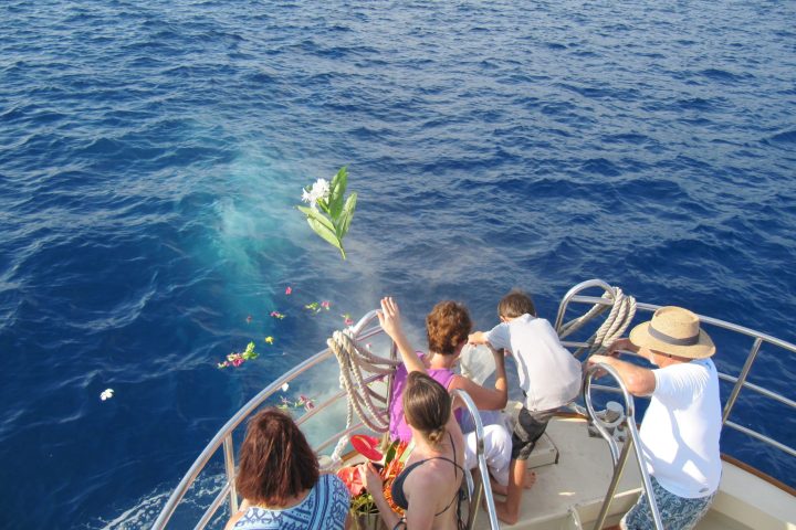 a group of people standing next to a body of water