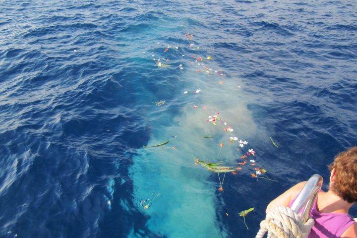 a person standing next to a body of water