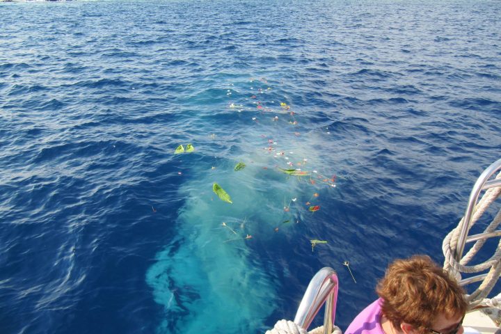 a man standing next to a body of water